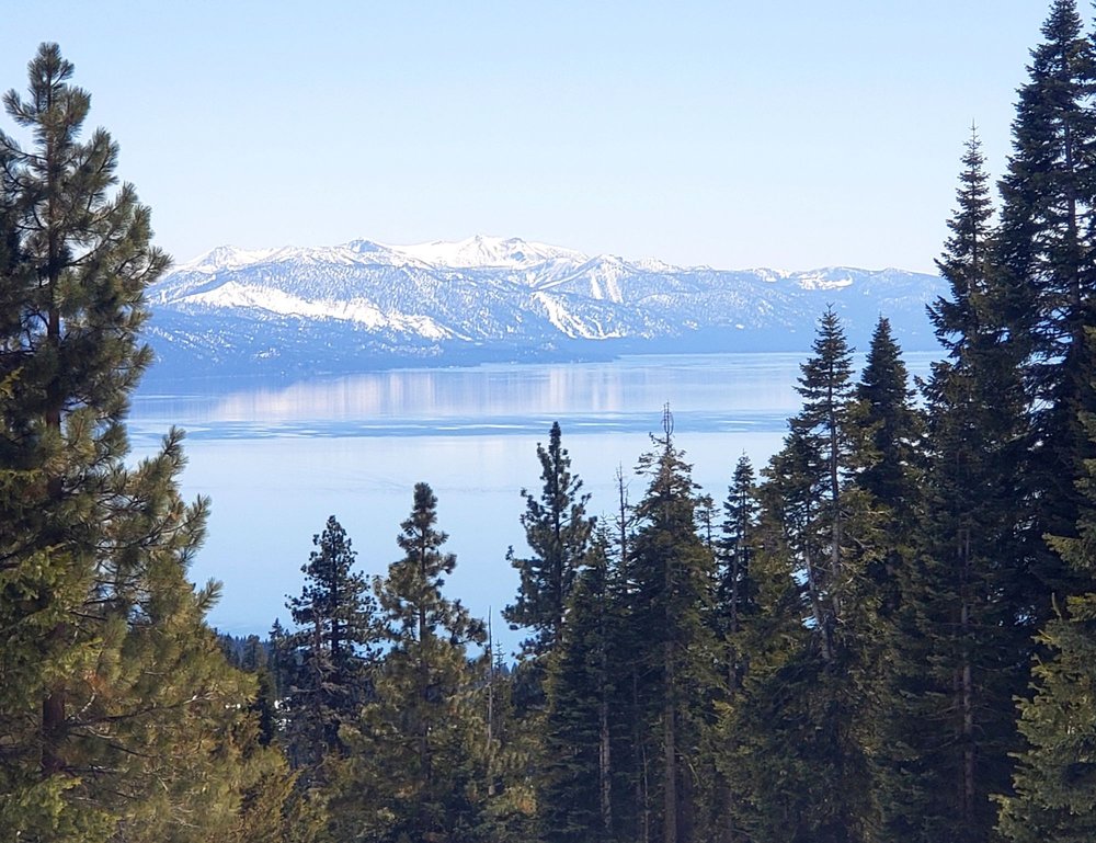 Tahoe Rim Trail Logo