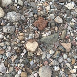 Your Beautiful Life - Heart rock. Best one I've ever found