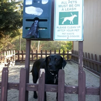 Oxford Suites - Our dog, FISH enjoyed her stay at the Oxford Suites in Lancaster! - Hotels Near Me - Lancaster, California