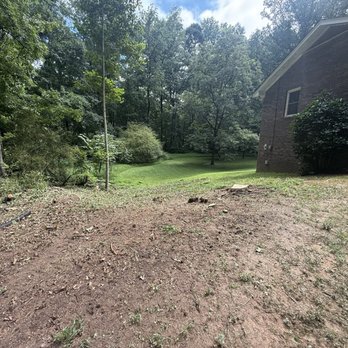 Naz Tree Service - North Georgia - After - Tree Services Near Me - Roswell, Georgia Naz Tree Service - North Georgia - After - Tree Services Near Me - Roswell, Georgia