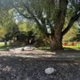 Vista Court Cabins & Lodge