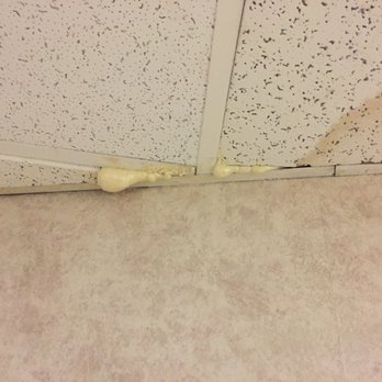 Holiday Lodge Hotel - Ceiling "Repair" - Hotels Near Me - Oak Hill, West Virginia Holiday Lodge Hotel - Ceiling "Repair" - Hotels Near Me - Oak Hill, West Virginia