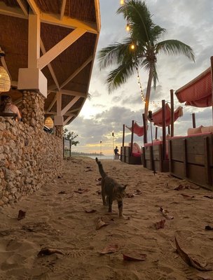 Villa Montana Beach Resort by null