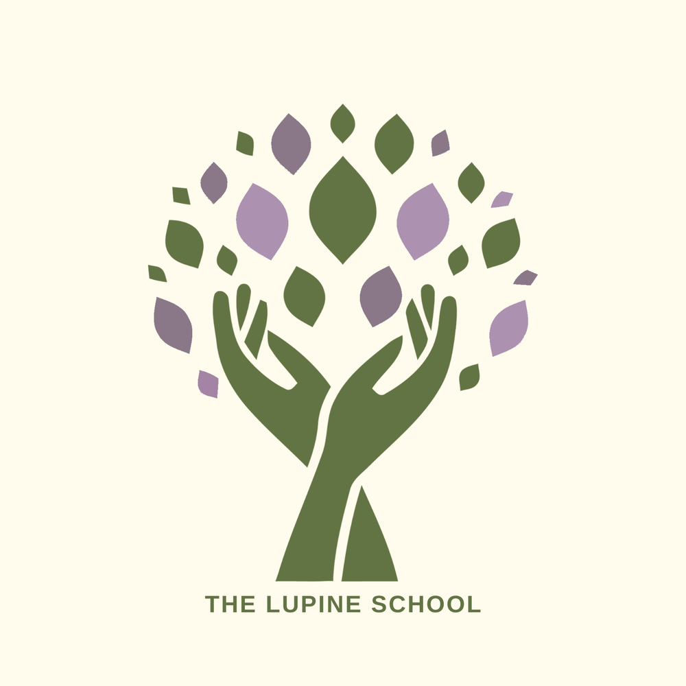 The Lupine School - childcare center in Chapel Hill, NC