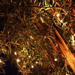 Paon Restaurant & Wine Bar