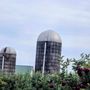 Blackman Homestead Farm