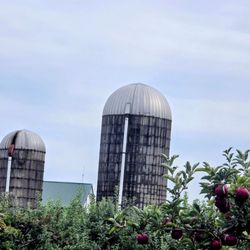 Blackman Homestead Farm