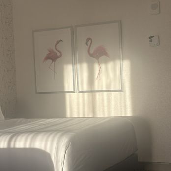 Flamingo Las Vegas - Cute - Hotels Near Me - Las Vegas, Nevada