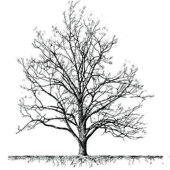 Mesquite Tax, LLC - Accountants Near Me - Mesa, Arizona Mesquite Tax, LLC - Accountants Near Me - Mesa, Arizona
