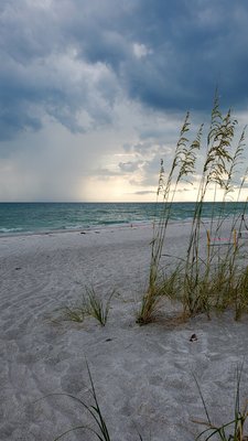 Longboat Key by null