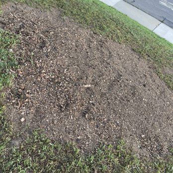 JJ Tree Service - Tree Services Near Me JJ Tree Service - Tree Services Near Me