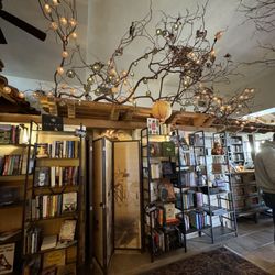 Lantern Tree Books