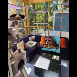 Andrea's Fuzz Therapy - Catio