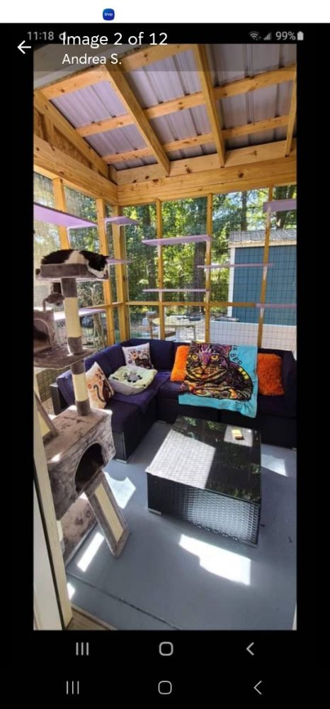 Andrea's Fuzz Therapy - pet boarding facility in Gastonia, NC