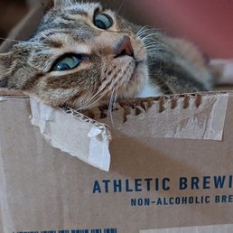 ok, this is not at the vet