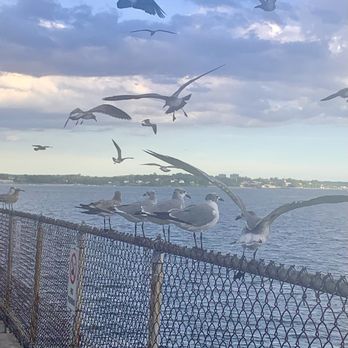 Johnny's Reef Restaurant - Seafood Near Me - Bronx, New York