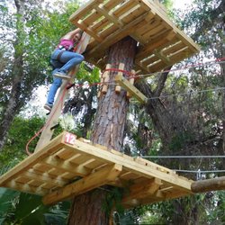 Climb to new heights at Tree Top Adventure ta Faith Haven in Crystal River Florida.