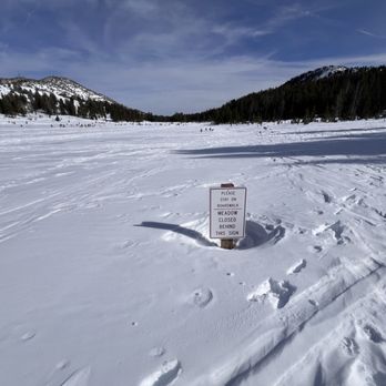 Tahoe Meadows - 1/31/26 FYI. Ummm 3 ft under. lol. - Parks Near Me