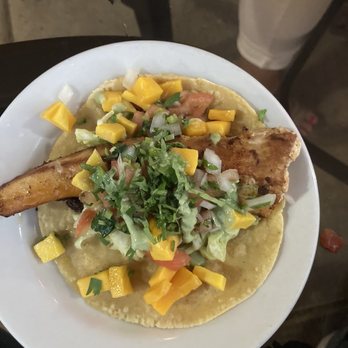 My Cocina - Mahi Mahi Taco - Mexican Near Me - Streamwood, Illinois