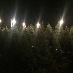 Sherwood Nursery & Greenhouse - Christmas Tree