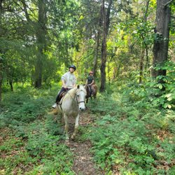 Royal Horseshoe Farm