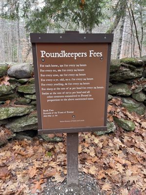 Bradbury Mountain State Park by null