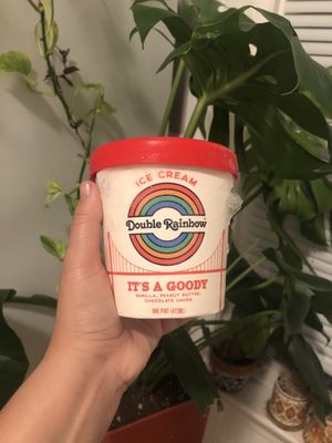 Double Rainbow Ice Cream by null