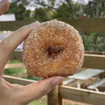 Demarest Farm - apple cider donuts - Farmers Market Near Me - Hillsdale, New Jersey