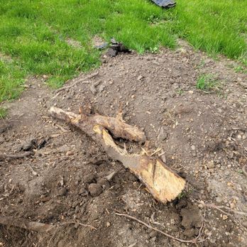 Stump Brothers - Some of the big chunks left behind. There are a lot - Tree Services Near Me Stump Brothers - Some of the big chunks left behind. There are a lot - Tree Services Near Me