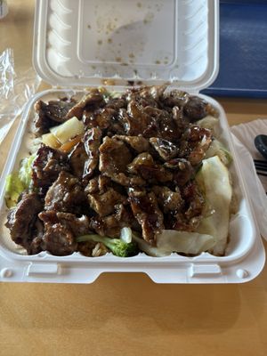 Honoka Teriyaki Express by null