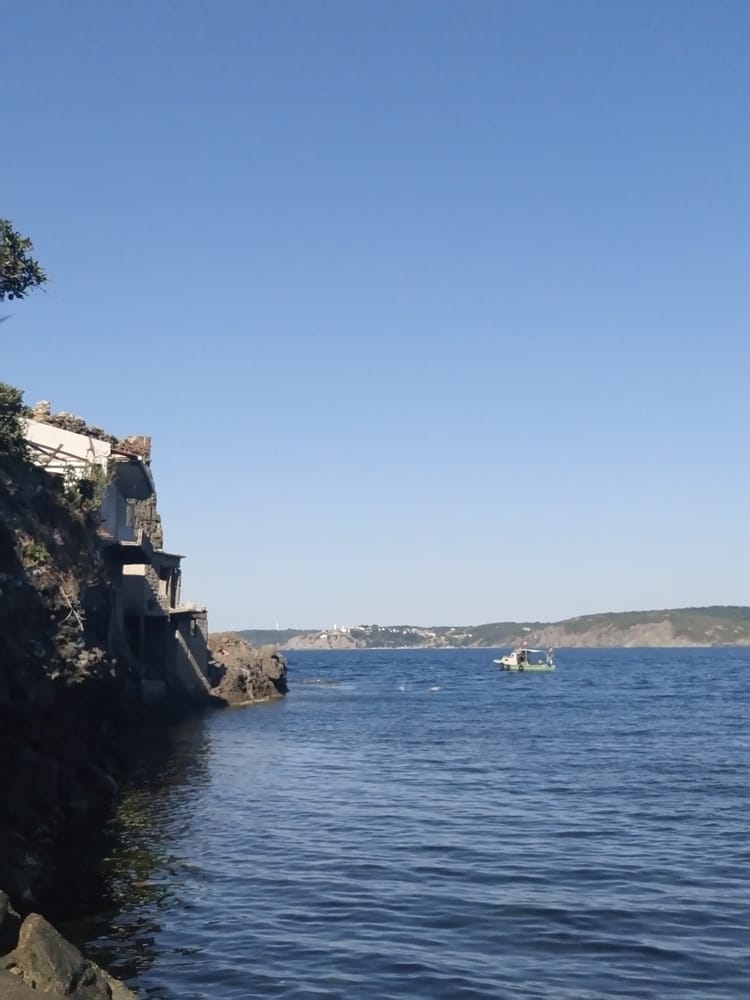 Garipçe Reis Balık photo 1