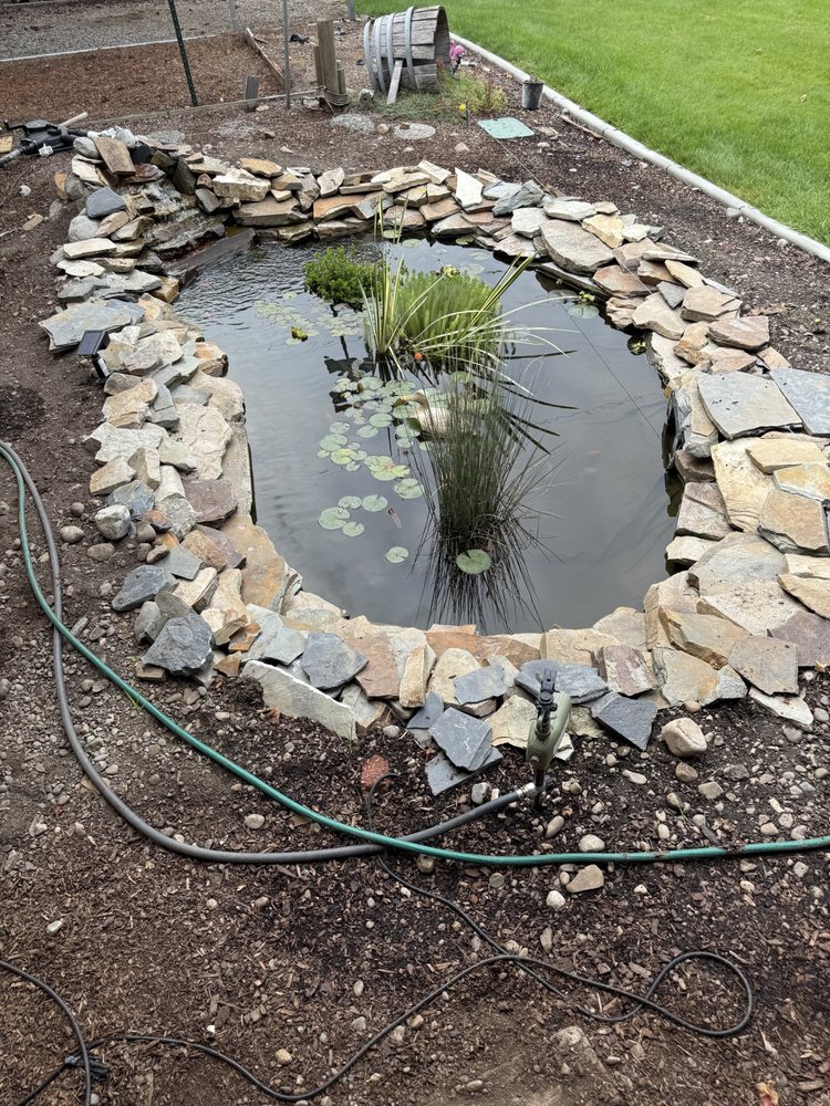 Koi Gardens - koi in Spokane, WA