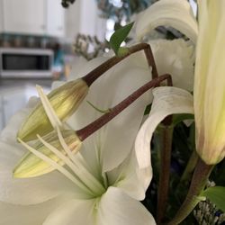 House Of Arnold Florist Baltimore - Bent and browning fowers