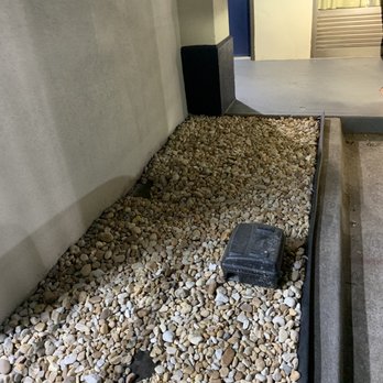 Baymont by Wyndham McDonough - Rat traps next to our room - Hotels Near Me - McDonough, Georgia Baymont by Wyndham McDonough - Rat traps next to our room - Hotels Near Me - McDonough, Georgia