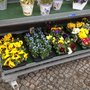 Blumenhaus Floradis