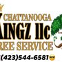 Photo of Chattanooga Kingz Tree Service
