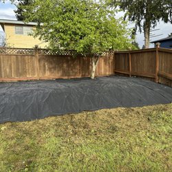 Savvy Landscape & Design - after picture of blackberry taking over yard (1 of 2)