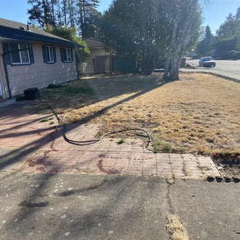 White Glove Full Service Cleaning - More before and after general yard work portrayed in photos. - Home Cleaning Near Me White Glove Full Service Cleaning - More before and after general yard work portrayed in photos. - Home Cleaning Near Me