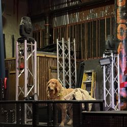 user provided Volcanic Theater Pub photo