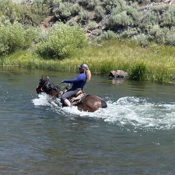 Piping Rock Horses - Horseback Riding Near Me - Truckee, California Piping Rock Horses - Horseback Riding Near Me - Truckee, California