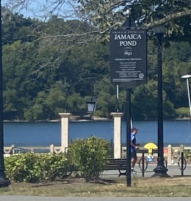 Jamaica Pond Park by null