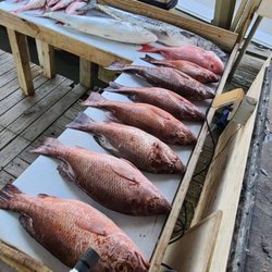 Salty Marine Guide Service