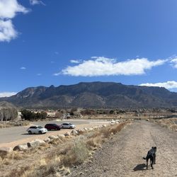 Ben Greiner Field