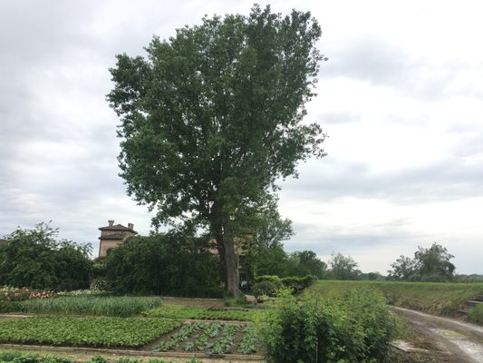 Antica Corte Pallavicina Relais by null