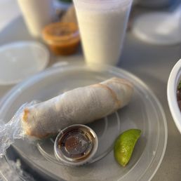 Fresh Salad Rolls