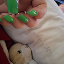 Perfect Nails