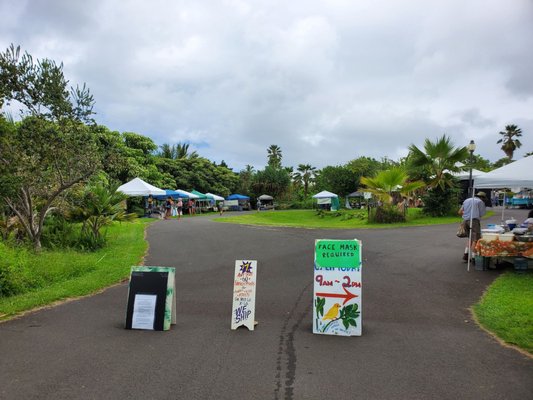 Pure Kona Green Market by null