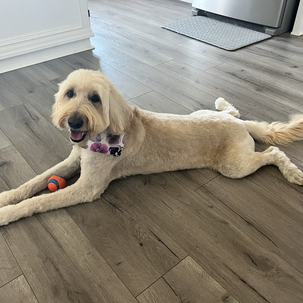 Riley after Spa Day Riley after Spa Day