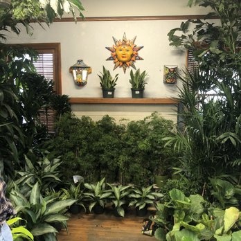 Plant Safari - Indoor plants - Nurseries & Gardening Near Me - Upland, California Plant Safari - Indoor plants - Nurseries & Gardening Near Me - Upland, California