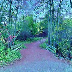 Rifle Range Road Trail - Rifle Range Road Trail